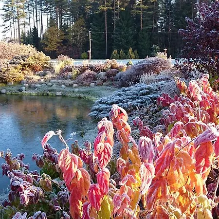 Centre Feriepark Korvekula (Tapa)