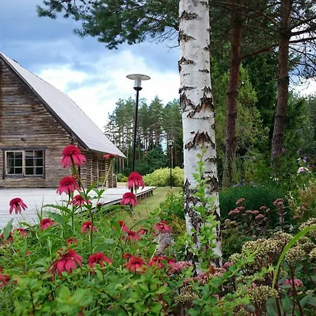 Feriepark Centre Korvekula (Tapa)