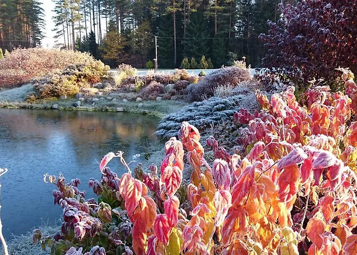 Centre Holiday park Korvekula (Tapa)